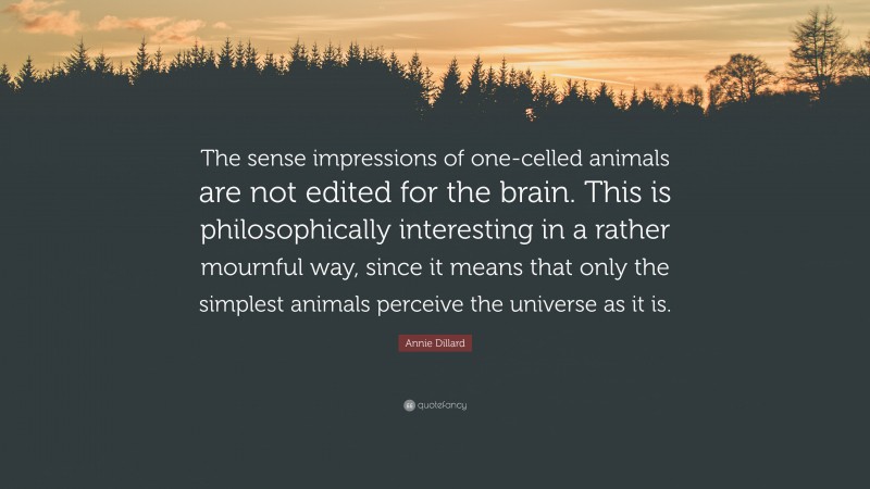 Annie Dillard Quote: “The sense impressions of one-celled animals are not edited for the brain. This is philosophically interesting in a rather mournful way, since it means that only the simplest animals perceive the universe as it is.”