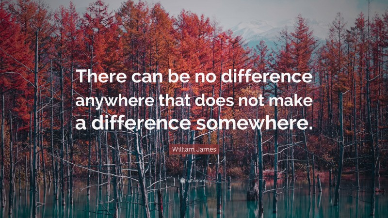 William James Quote: “There can be no difference anywhere that does not make a difference somewhere.”