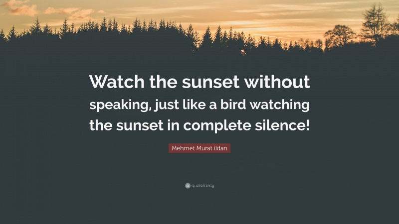 Mehmet Murat ildan Quote: “Watch the sunset without speaking, just like a bird watching the sunset in complete silence!”