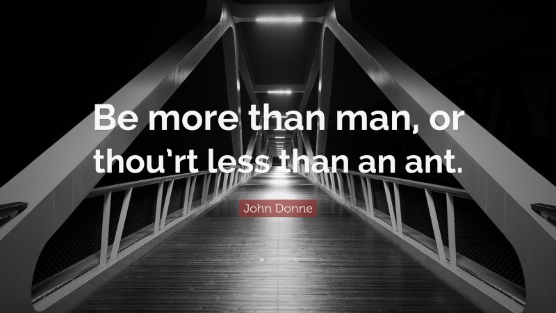 John Donne Quote: “Be more than man, or thou’rt less than an ant.”