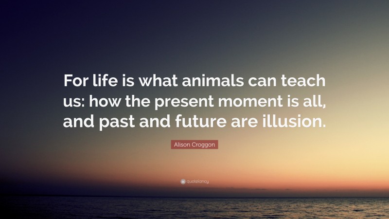 Alison Croggon Quote: “For life is what animals can teach us: how the present moment is all, and past and future are illusion.”