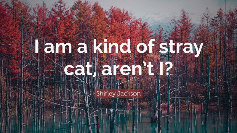 Shirley Jackson Quote: “I am a kind of stray cat, aren’t I?”