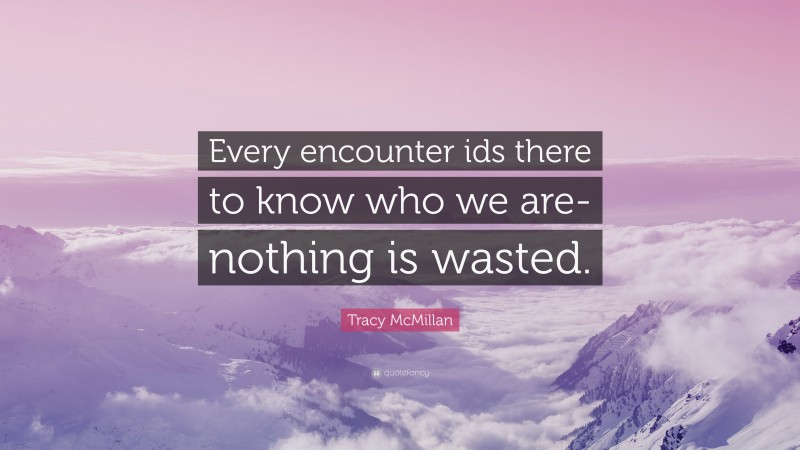 Tracy McMillan Quote: “Every encounter ids there to know who we are-nothing is wasted.”