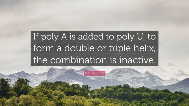 Francis Crick Quote: “If poly A is added to poly U, to form a double or triple helix, the combination is inactive.”