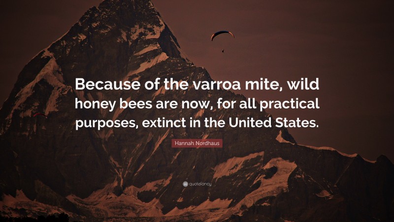 Hannah Nordhaus Quote: “Because of the varroa mite, wild honey bees are now, for all practical purposes, extinct in the United States.”