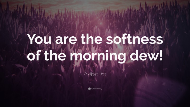 Avijeet Das Quote: “You are the softness of the morning dew!”