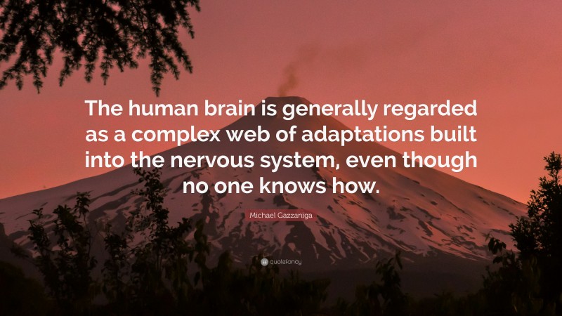 Michael Gazzaniga Quote: “The human brain is generally regarded as a complex web of adaptations built into the nervous system, even though no one knows how.”