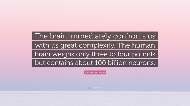 Gerald Fischbach Quote: “The brain immediately confronts us with its great complexity. The human brain weighs only three to four pounds but contains about 100 billion neurons.”