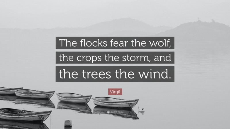 Virgil Quote: “The flocks fear the wolf, the crops the storm, and the trees the wind.”