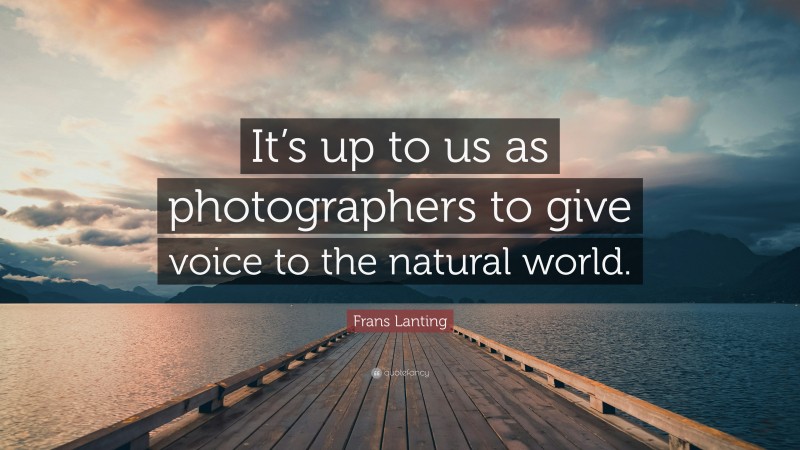 Frans Lanting Quote: “It’s up to us as photographers to give voice to the natural world.”