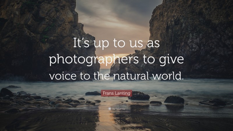 Frans Lanting Quote: “It’s up to us as photographers to give voice to the natural world.”