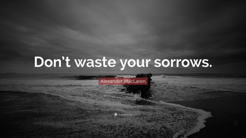 Alexander MacLaren Quote: “Don’t waste your sorrows.”