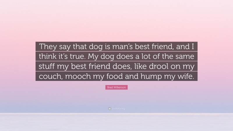 Brad Wilkerson Quote: “They say that dog is man’s best friend, and I think it’s true. My dog does a lot of the same stuff my best friend does, like drool on my couch, mooch my food and hump my wife.”