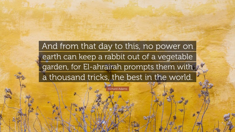 Richard Adams Quote: “And from that day to this, no power on earth can keep a rabbit out of a vegetable garden, for El-ahrairah prompts them with a thousand tricks, the best in the world.”
