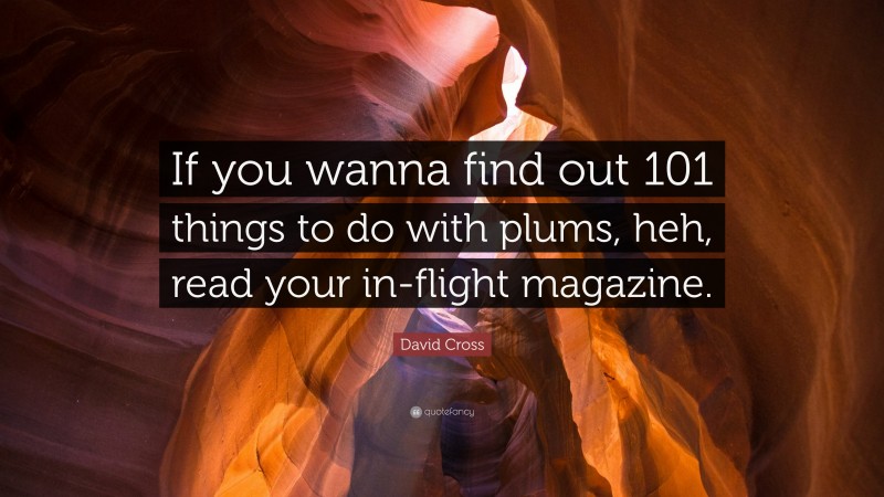 David Cross Quote: “If you wanna find out 101 things to do with plums, heh, read your in-flight magazine.”