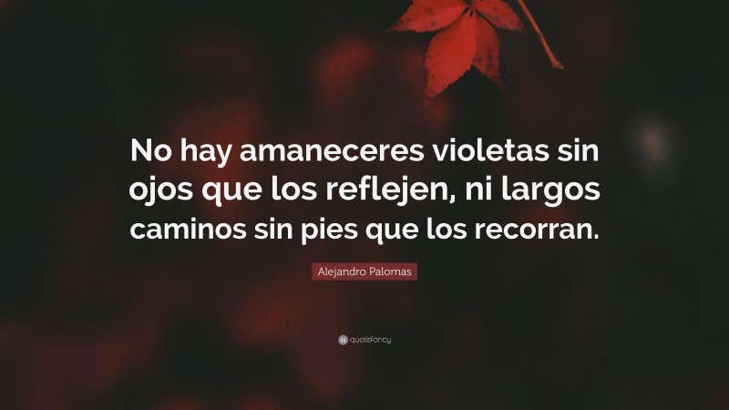 Alejandro Palomas Quote: “No hay amaneceres violetas sin ojos que los reflejen, ni largos caminos sin pies que los recorran.”
