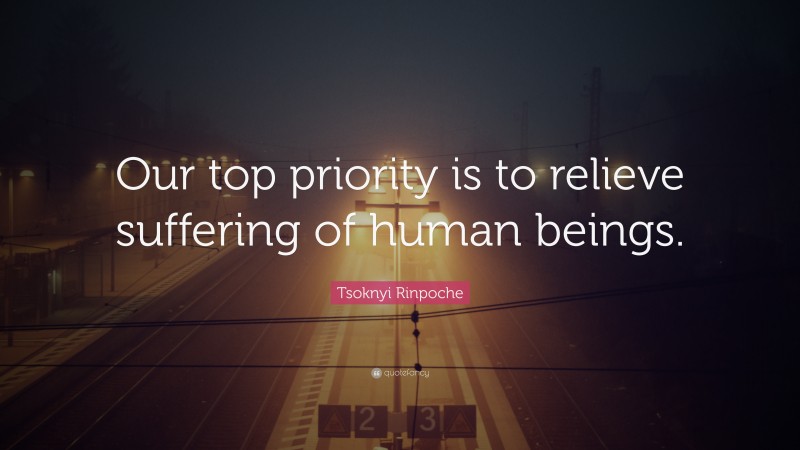 Tsoknyi Rinpoche Quote: “Our top priority is to relieve suffering of human beings.”