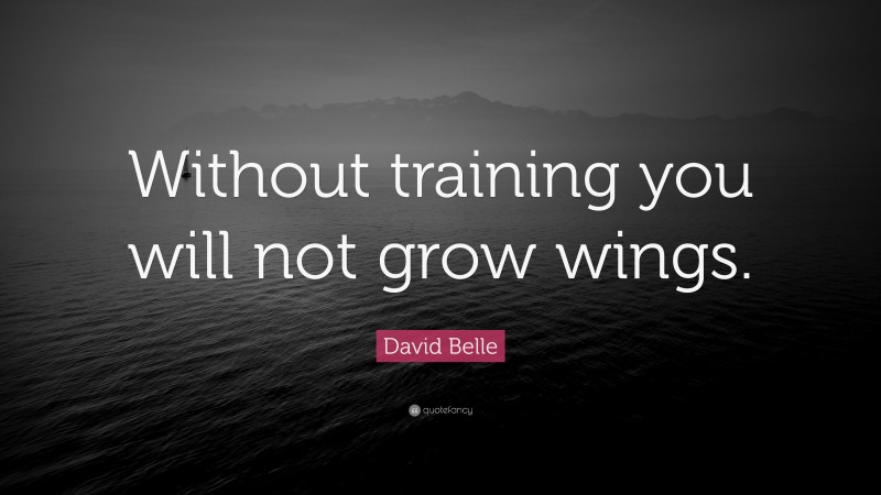 David Belle Quote: “Without training you will not grow wings.”