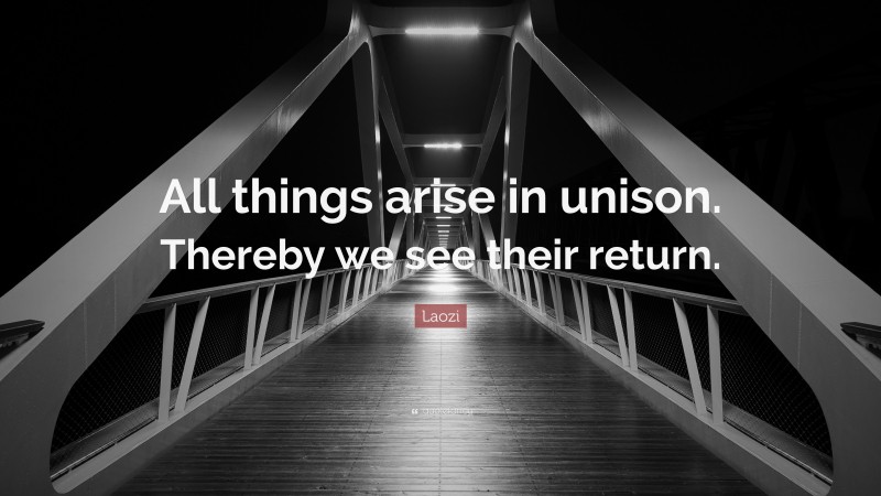 Laozi Quote: “All things arise in unison. Thereby we see their return.”