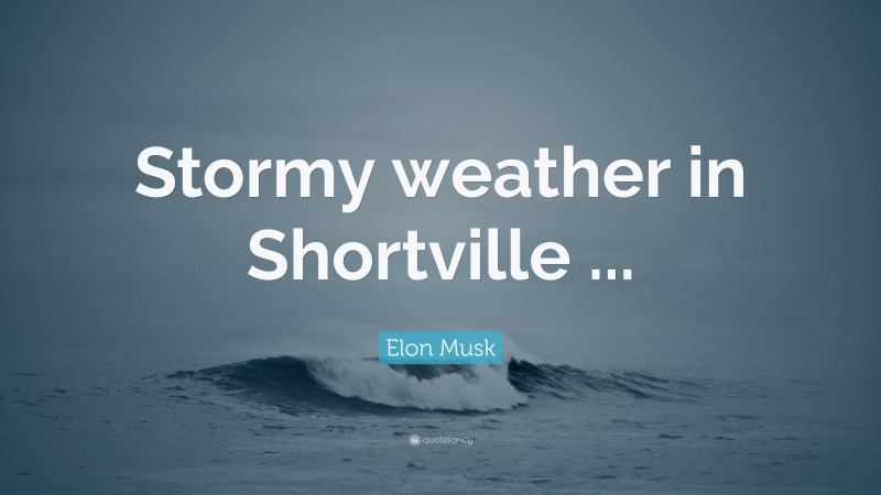 Elon Musk Quote: “Stormy weather in Shortville ...”