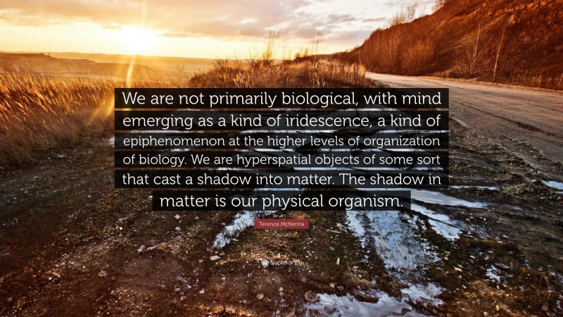 Terence McKenna Quote: “We are not primarily biological, with mind emerging as a kind of iridescence, a kind of epiphenomenon at the higher levels of organization of biology. We are hyperspatial objects of some sort that cast a shadow into matter. The shadow in matter is our physical organism.”