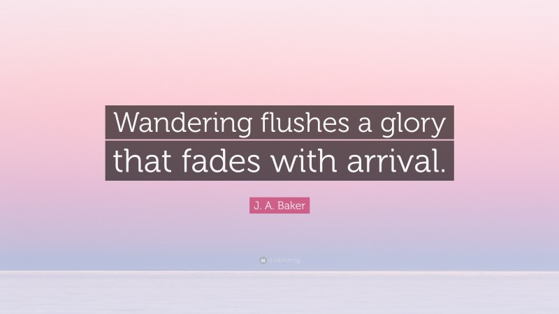 J. A. Baker Quote: “Wandering flushes a glory that fades with arrival.”