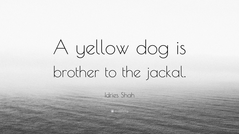 Idries Shah Quote: “A yellow dog is brother to the jackal.”