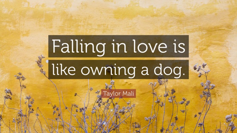Taylor Mali Quote: “Falling in love is like owning a dog.”
