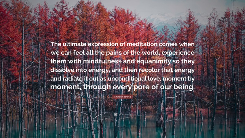 Shinzen Young Quote: “The ultimate expression of meditation comes when we can feel all the pains of the world, experience them with mindfulness and equanimity so they dissolve into energy, and then recolor that energy and radiate it out as unconditional love, moment by moment, through every pore of our being.”