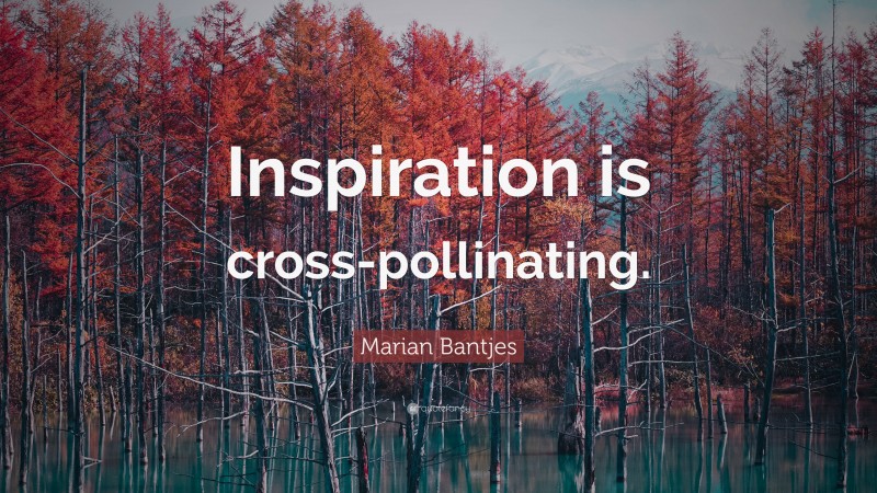 Marian Bantjes Quote: “Inspiration is cross-pollinating.”
