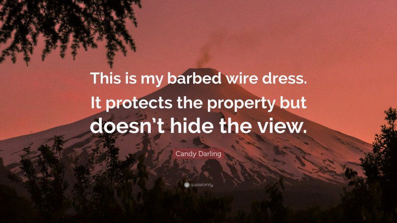 Candy Darling Quote: “This is my barbed wire dress. It protects the property but doesn’t hide the view.”