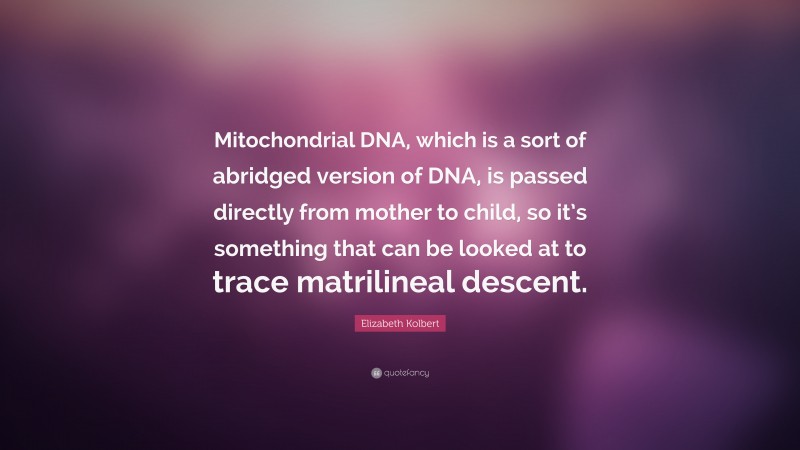Elizabeth Kolbert Quote: “Mitochondrial DNA, which is a sort of abridged version of DNA, is passed directly from mother to child, so it’s something that can be looked at to trace matrilineal descent.”