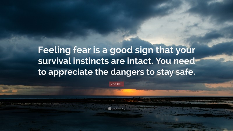 Zoe Bell Quote: “Feeling fear is a good sign that your survival instincts are intact. You need to appreciate the dangers to stay safe.”