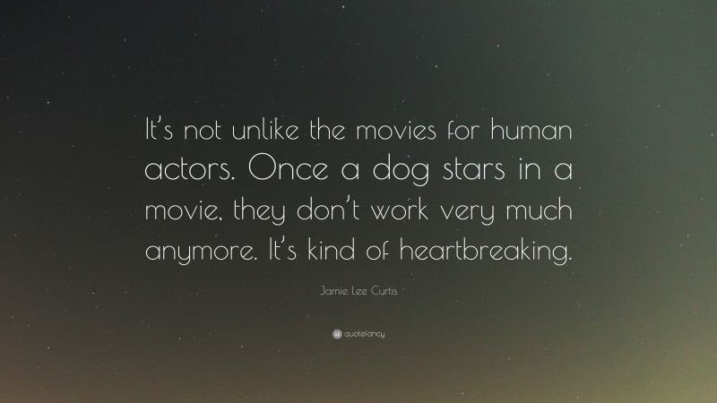 Jamie Lee Curtis Quote: “It’s not unlike the movies for human actors. Once a dog stars in a movie, they don’t work very much anymore. It’s kind of heartbreaking.”