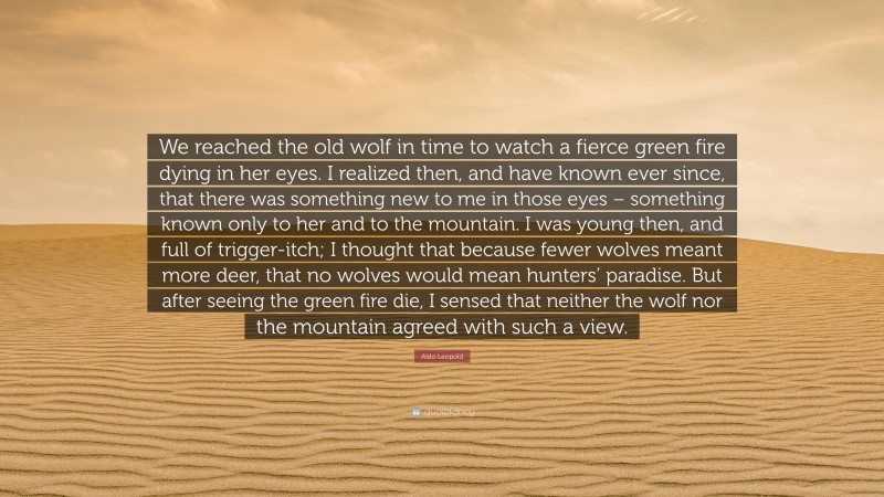 Aldo Leopold Quote: “We reached the old wolf in time to watch a fierce green fire dying in her eyes. I realized then, and have known ever since, that there was something new to me in those eyes – something known only to her and to the mountain. I was young then, and full of trigger-itch; I thought that because fewer wolves meant more deer, that no wolves would mean hunters’ paradise. But after seeing the green fire die, I sensed that neither the wolf nor the mountain agreed with such a view.”
