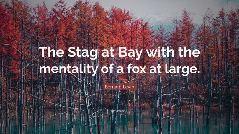 Bernard Levin Quote: “The Stag at Bay with the mentality of a fox at large.”