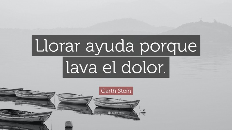 Garth Stein Quote: “Llorar ayuda porque lava el dolor.”