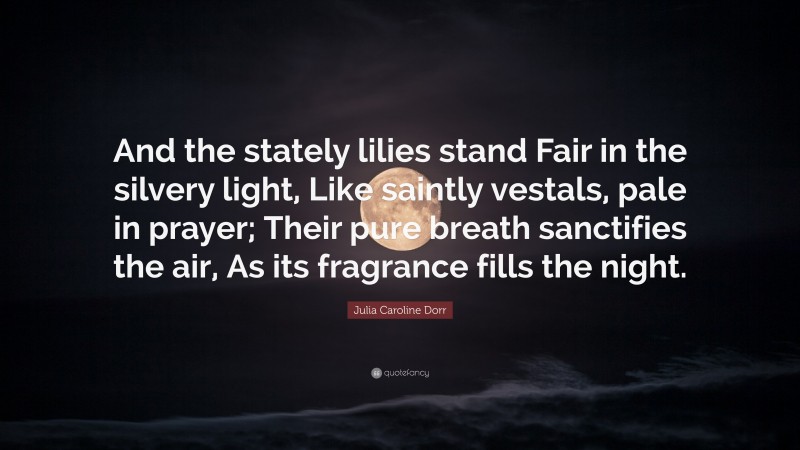 Julia Caroline Dorr Quote: “And the stately lilies stand Fair in the silvery light, Like saintly vestals, pale in prayer; Their pure breath sanctifies the air, As its fragrance fills the night.”