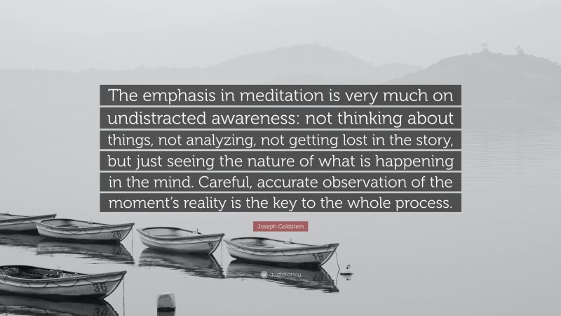 Joseph Goldstein Quote: “The emphasis in meditation is very much on undistracted awareness: not thinking about things, not analyzing, not getting lost in the story, but just seeing the nature of what is happening in the mind. Careful, accurate observation of the moment’s reality is the key to the whole process.”