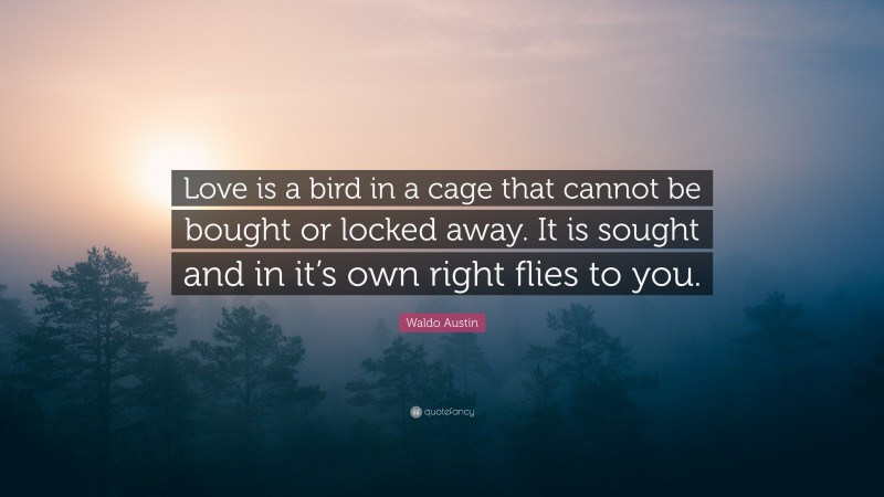 Waldo Austin Quote: “Love is a bird in a cage that cannot be bought or locked away. It is sought and in it’s own right flies to you.”