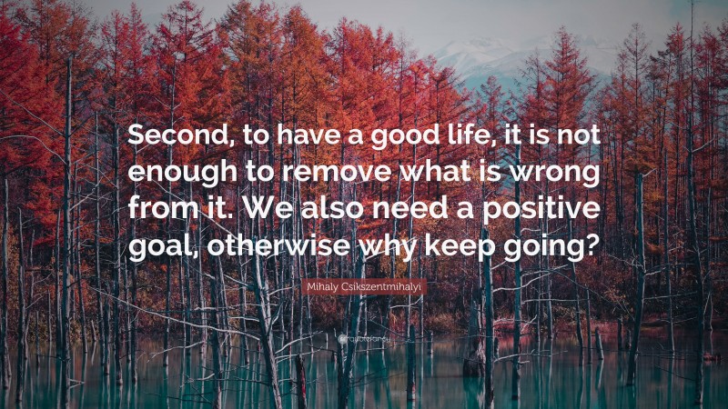 Mihaly Csikszentmihalyi Quote: “Second, to have a good life, it is not enough to remove what is wrong from it. We also need a positive goal, otherwise why keep going?”