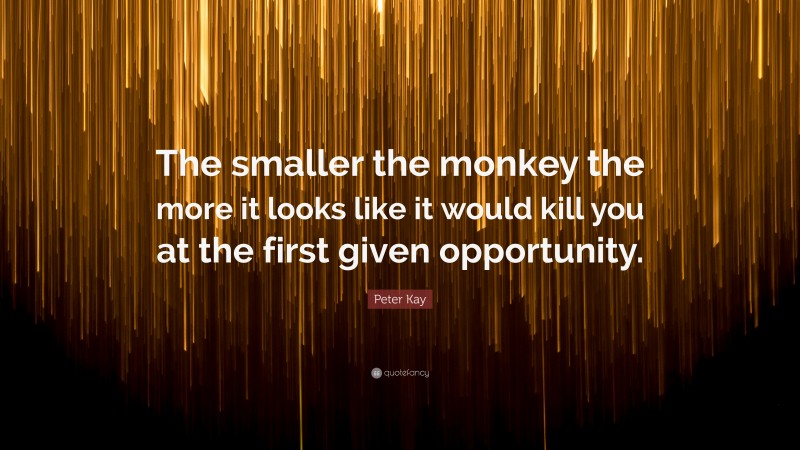 Peter Kay Quote: “The smaller the monkey the more it looks like it would kill you at the first given opportunity.”
