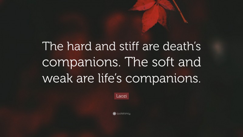 Laozi Quote: “The hard and stiff are death’s companions. The soft and weak are life’s companions.”