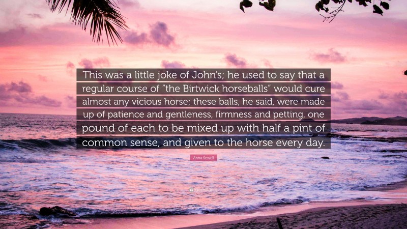 Anna Sewell Quote: “This was a little joke of John’s; he used to say that a regular course of “the Birtwick horseballs” would cure almost any vicious horse; these balls, he said, were made up of patience and gentleness, firmness and petting, one pound of each to be mixed up with half a pint of common sense, and given to the horse every day.”
