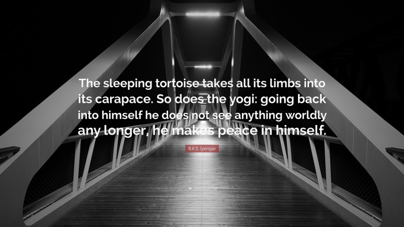 B.K.S. Iyengar Quote: “The sleeping tortoise takes all its limbs into its carapace. So does the yogi: going back into himself he does not see anything worldly any longer, he makes peace in himself.”