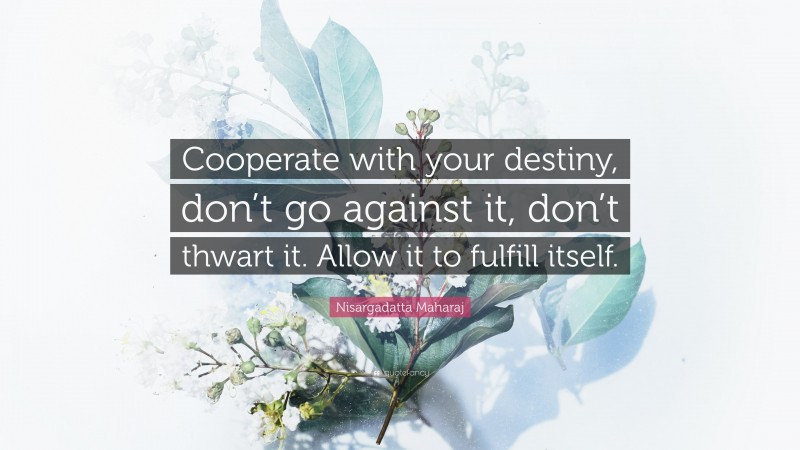 Nisargadatta Maharaj Quote: “Cooperate with your destiny, don’t go against it, don’t thwart it. Allow it to fulfill itself.”