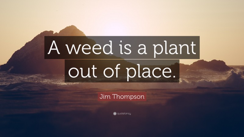 Jim Thompson Quote: “A weed is a plant out of place.”