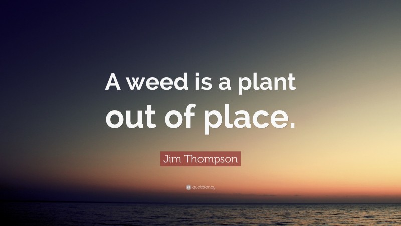 Jim Thompson Quote: “A weed is a plant out of place.”