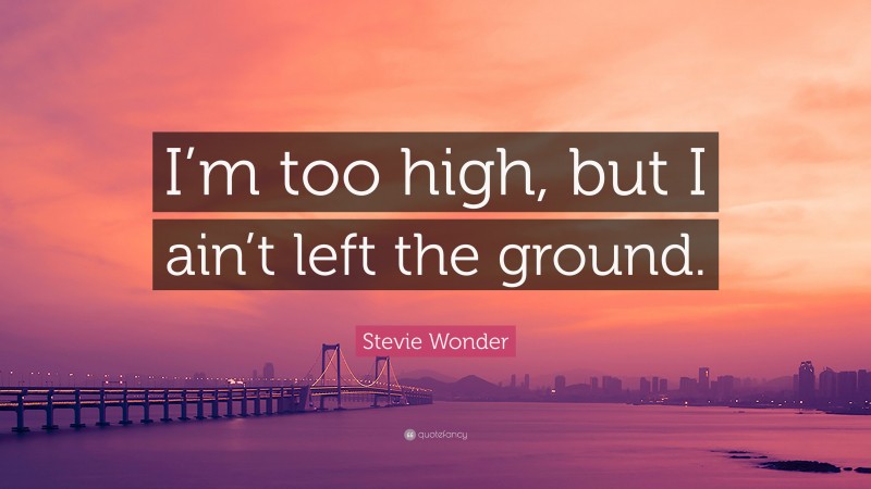 Stevie Wonder Quote: “I’m too high, but I ain’t left the ground.”