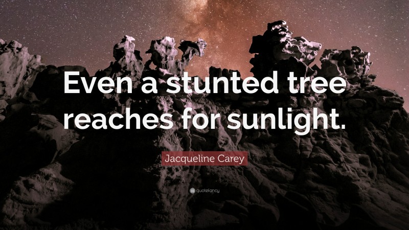 Jacqueline Carey Quote: “Even a stunted tree reaches for sunlight.”